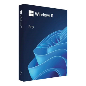 Windows Pro 11 64-bitový český USB