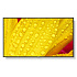 SHARP/NEC LFD 65" MultiSync M651-2, IPS, 3840x2160, 500nit, 8000:1, 8ms, 24/7, DP, HDMI, LAN, USB, Mediaplayer