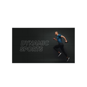 55" LG LED 55VL5PJ-A - FHD, 500cd, UN, 24/7