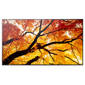 NEC Sharp MultiSync/M502/50"/VA/4K UHD/60Hz/8ms/Čierna/3R
