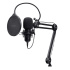 TRUST GXT270 EMITA II MICROPHONE WITH ARM