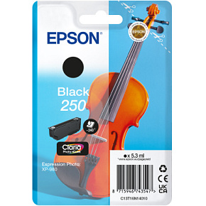 Epson Singlepack Black 250 ink Epson Singlepack Black 250 ink