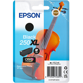 Epson Singlepack Black 250XL ink Epson Singlepack Black 250XL ink