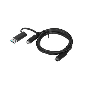 Lenovo Hybrid USB-C s USB-A Cable