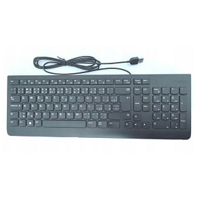 Lenovo Essential Wired Keyboard/Drátové USB-A/CZ/SK/Černá Lenovo Essential Wired Keyboard/Drátové USB-A/CZ/SK/Černá