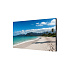 55" LED SHARP UN553S,1920x1080,IPS,24/7,700cd