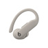 Beats Powerbeats Pro 2/ANC/BT/Quick Sand