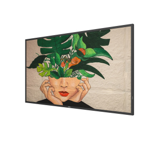 50" D-LED Philips 50BDL4511D-UHD, VA, 500cd, MP, 24/7