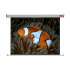 NOBO Wall Screen š175 x v132 -matný biely,4:3