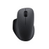 Xiaomi Wireless Mouse Comfort Edition (Black)