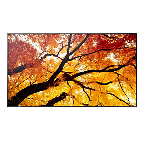 65" LED SHARP M652,3840x2160,IPS,24/7,550cd 65" LED SHARP M652,3840x2160,IPS,24/7,550cd