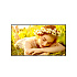 55" LG LED 55UL5-UHD, 500cd, WebOs, 16/7