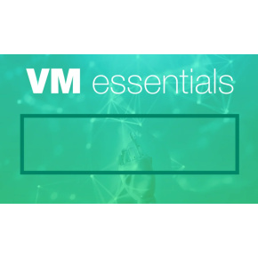 HPE Morpheus VM Essentials Software per Socket 1y