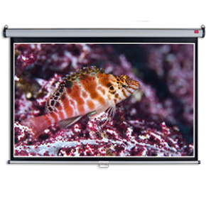 Nástenné projekčné plátno NOBO, 240x160cm (16:10)