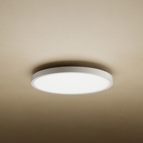 Xiaomi Mi Smart LED Ceiling Light D20