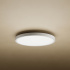 Xiaomi Mi Smart LED Ceiling Light D20