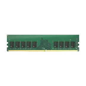 Synology D4EU02-8G