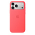 iPhone 17 Pro Max Silicone Case with MS – Br.Guava