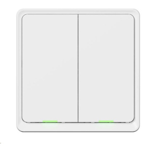 Tesla Smart Switch Dual Battery