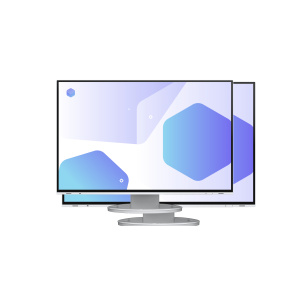 EIZO FlexScan/EV2485/24"/IPS/FHD/60Hz/5ms/White/5R