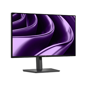Dell Pro P/P2426HE/24"/IPS/FHD/120Hz/5ms/Čierna/3RNBD