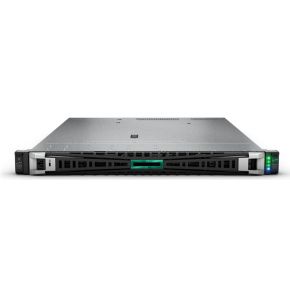 HPE DL325 G11 9224, 64 GB, 2 x 480 GB SSD, RPS