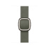 Watch Acc/42/Sage Gray Modern Buckle - S