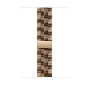 Watch Acc/46/Gold Milanese Loop - S/M