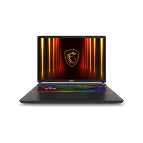 MSI Vector/A16 HX A8WHG-049XCZ/R9-8940HX/16"/2560x1600/64GB/2TB/RTX 5070Ti/bez OS/Gray/2R