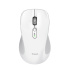 TRUST FERRO HYPERWHEEL WRLS MOUSE WHITE